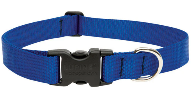 Lupine Adjustable Nylon Dog Collar - Solid Colors - Image 3