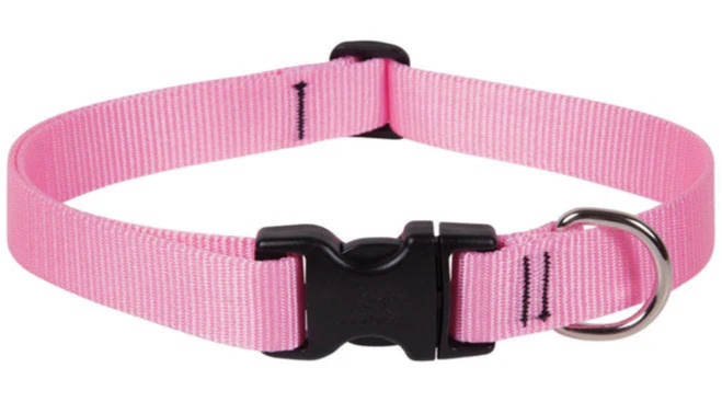 Lupine Adjustable Nylon Dog Collar - Solid Colors - Image 4