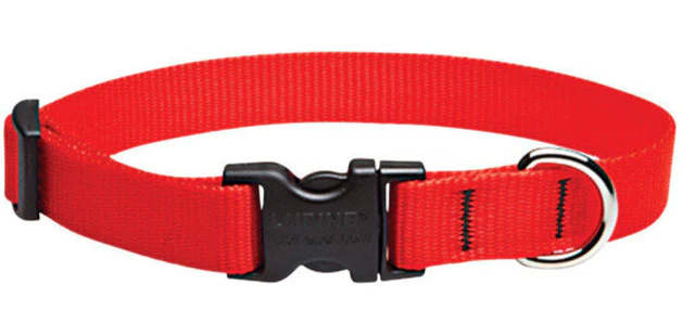 Lupine Adjustable Nylon Dog Collar - Solid Colors - Image 5