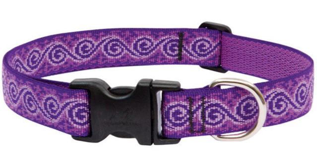 Lupine Adjustable Nylon Dog Collar - Patterns & Designs - Image 3