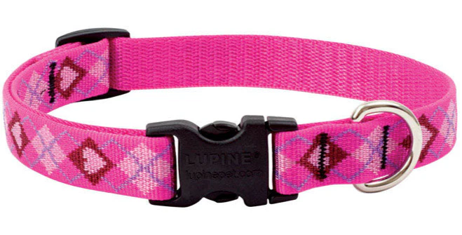Lupine Adjustable Nylon Dog Collar - Patterns & Designs - Image 4