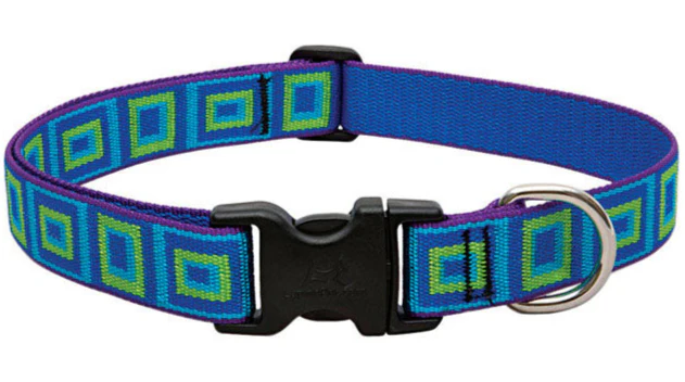 Lupine Adjustable Nylon Dog Collar - Patterns & Designs - Image 5
