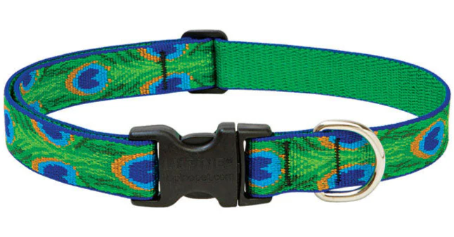 Lupine Adjustable Nylon Dog Collar - Patterns & Designs - Image 6