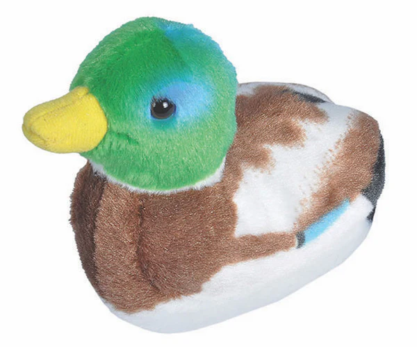 Audubon Plush Birds with Authentic Bird Songs - Image 16