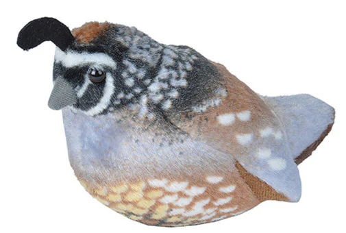 Audubon Plush Birds with Authentic Bird Songs - Image 7