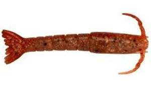 Berkley Gulp! Scented Shrimp Soft Bait - 3" & 4" - Image 10