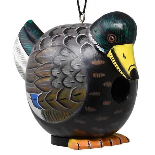 Songbird Handcarved Wooden Gord-O Birdhouses - Image 15