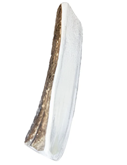 Bucky Bites Antler Stick Dog Chews - Image 2