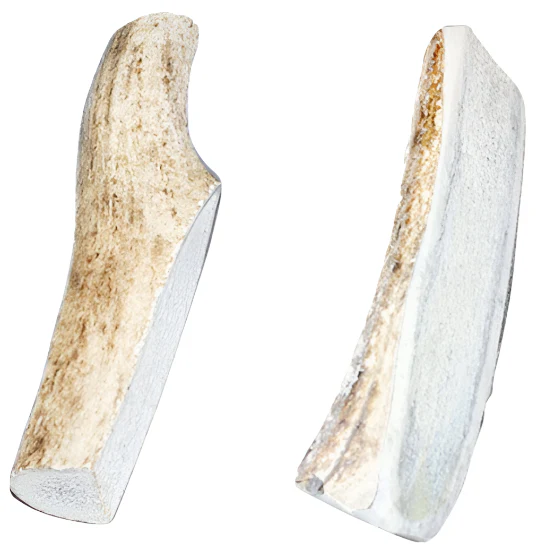 Bucky Bites Antler Stick Dog Chews - Image 3
