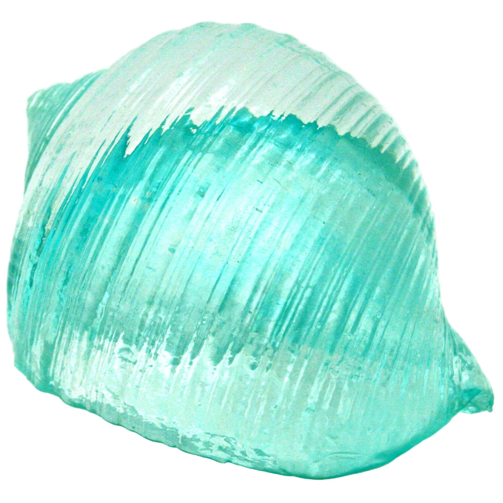 Modern Coastal Polyresin Blue Seashells - 3" x 4.75" - Image 5