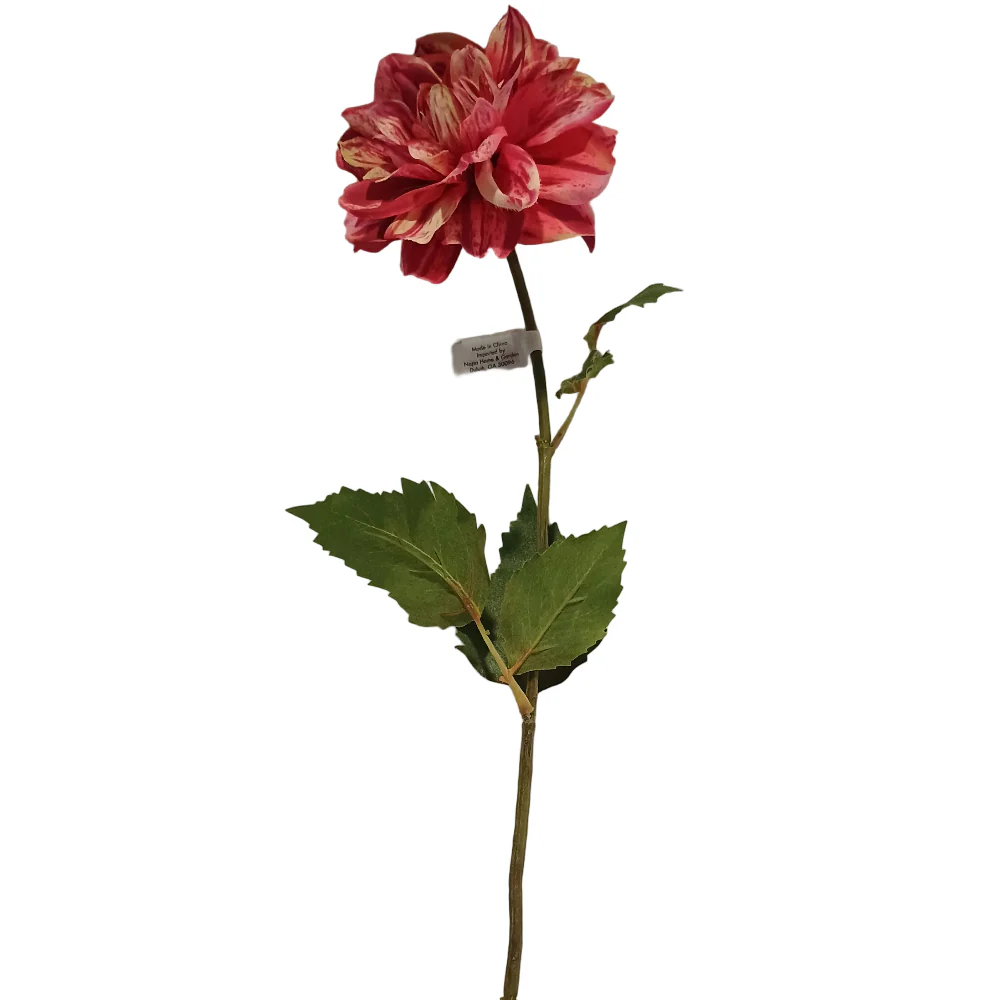 Napa Faux Dahlia Stem - 19" to 26" - Image 3