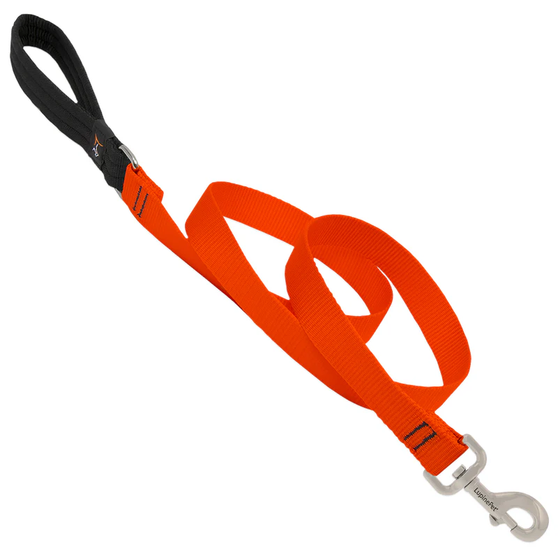 Lupine Nylon Dog Leash - 6' - Image 4