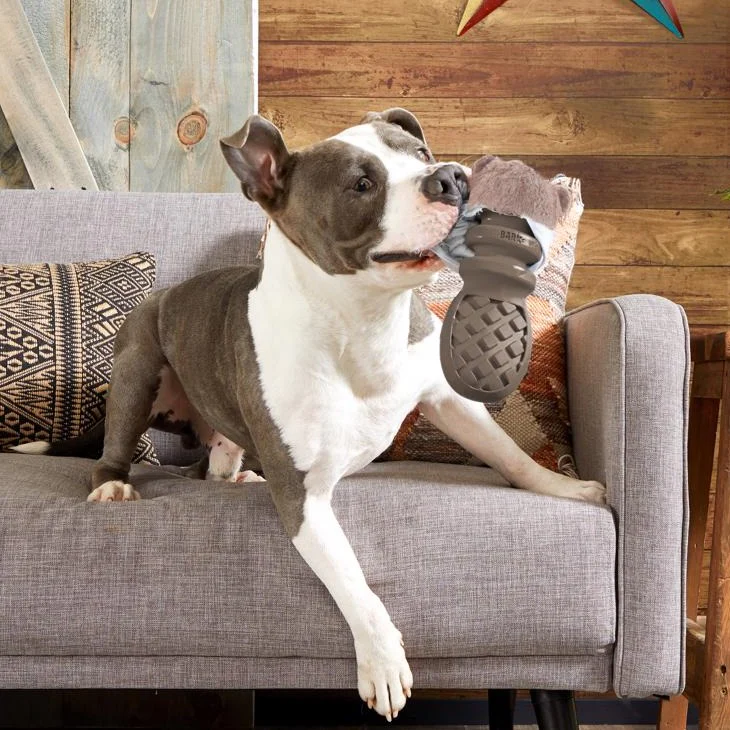 Barkbox P.B. Beaver Dog Toy - Image 2