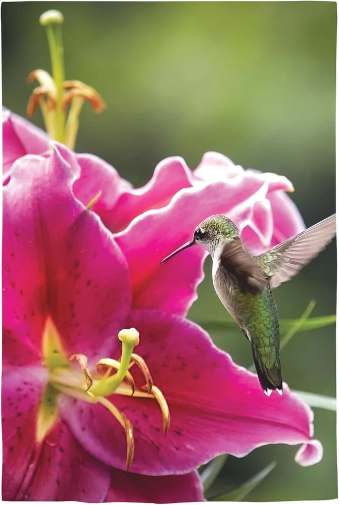 Evergreen Nature & Bird Themed Garden Flags - 12.5" x 18" - Image 19