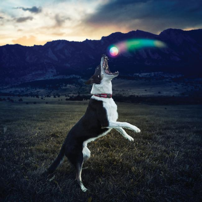 Nite Ize GlowStreak Disc-O LED Ball Dog Toy - Image 2