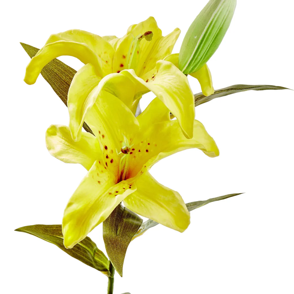 TAG Soft Touch Faux Lily - 23" - Image 2