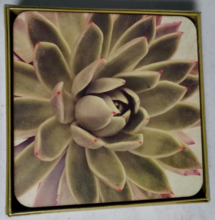RockFlowerPaper Artful Coasters (Square) - 4 pc. - Image 6