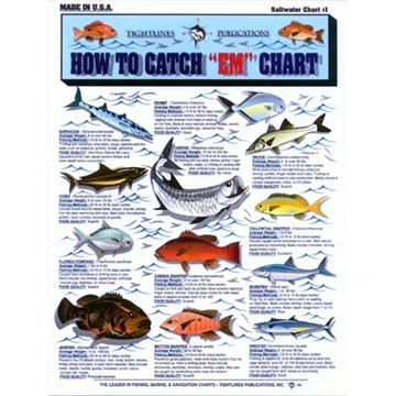 Tidelines Charts - Image 4