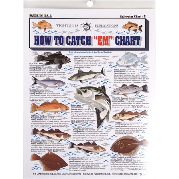 Tidelines Charts - Image 5