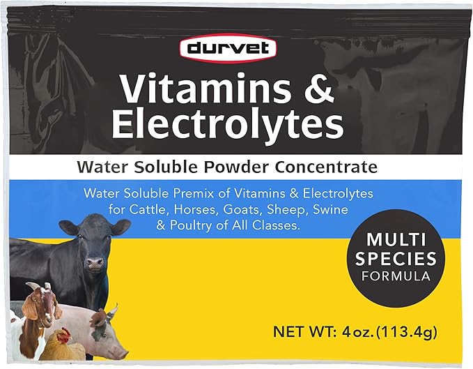 Durvet Powdered Vitamin & Electrolyte Supplement - 4 oz. - Image 2